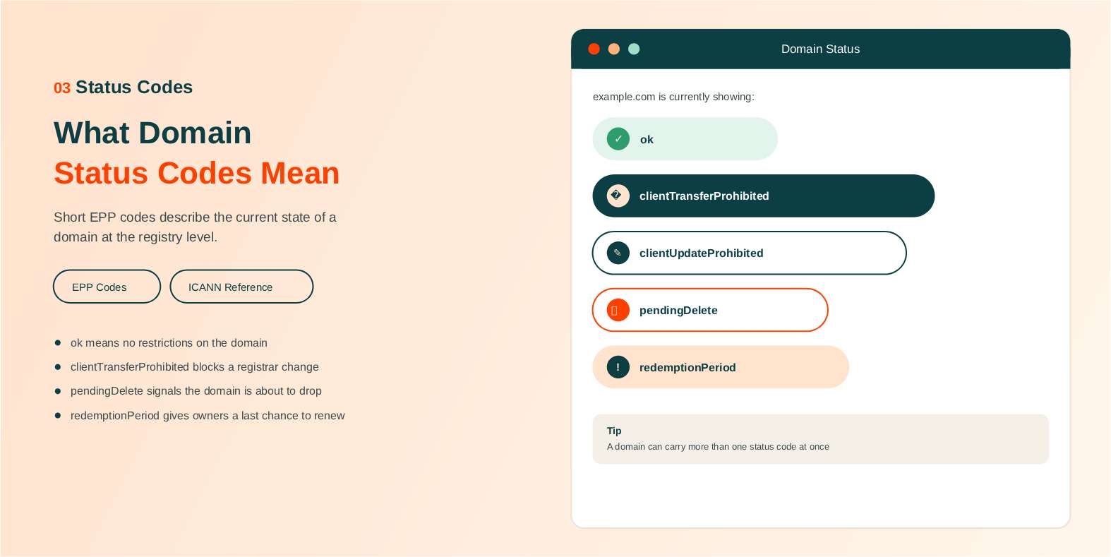 Domain Status Codes (EPP Codes)