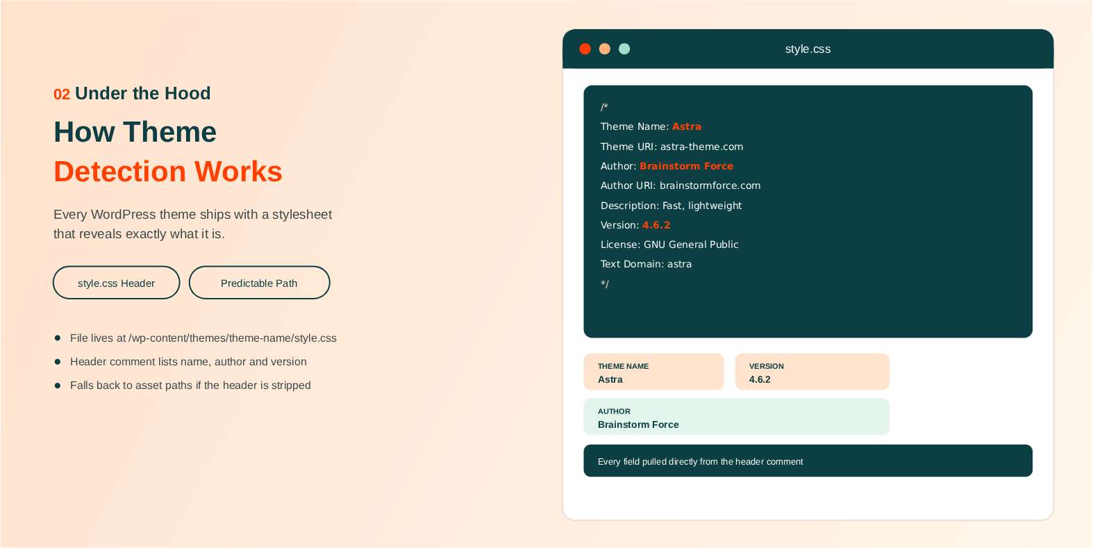 How WordPress Theme Detection Actually Works