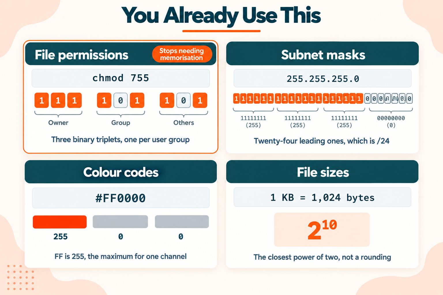 Binary Real-World Uses